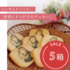 【5箱セット】世界に一つだけのクッキー